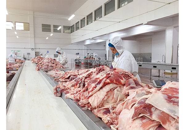 海之隆工厂分割牛肉